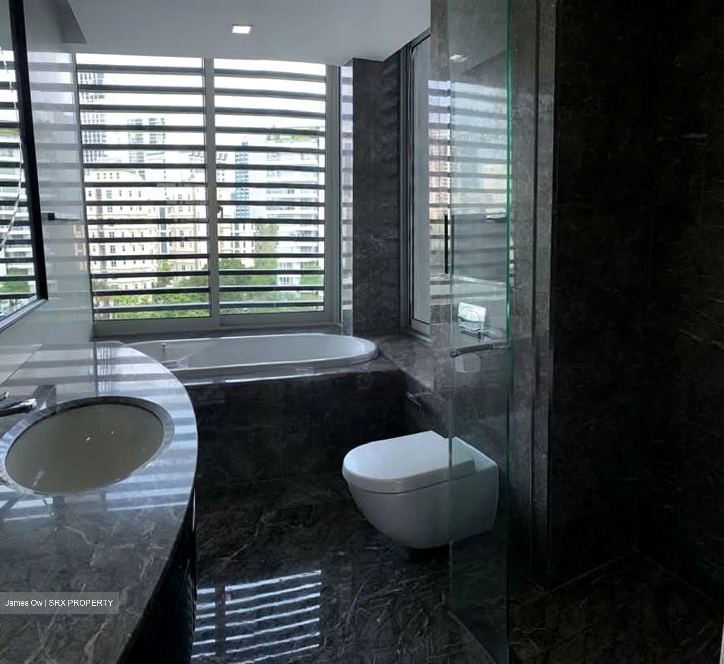 The Solitaire (D10), Condominium #560524251
